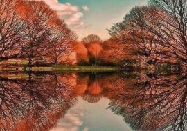 Niesamowite i niezwykłe efekty lustrzanego odbicia