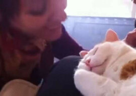 Kobieta całuje swojego kota. Reakcja zwierzęcia jest wyjątkowa