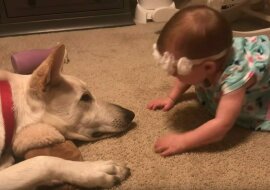 Dziecko zasypuje psa buziakami – nikt nie przewidział jego reakcji