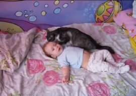 Dziecko nie może przestać płakać. Zobaczcie, co się dzieje, gdy dostrzega je ta kotka. Nie uwierzycie