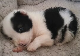 Bezradny i samotny potrafił odnaleźć swój kawałek szczęścia nawet wśród bezdusznych bloków