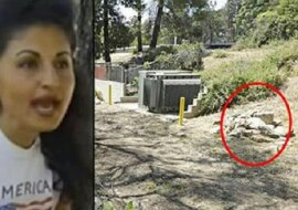 Pies zaczyna w lesie szczekać jak szalony – to, co jego właścicielka zobaczyła na ziemi, sprawiło, że serce podeszło jej do gardła