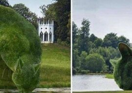 Śliczne krzewy: artysta zamienia zwykłe krzaki w urocze koty