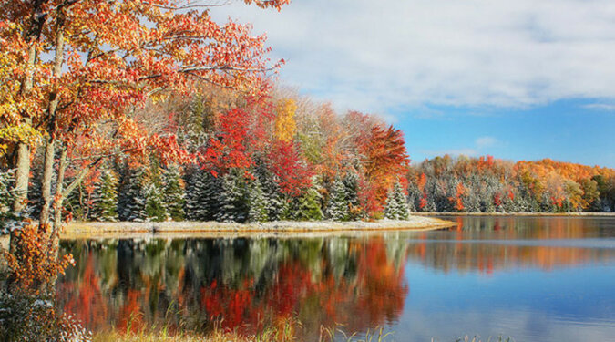 Między jesienią a zimą - niezwykły, rzadki i piękny widok