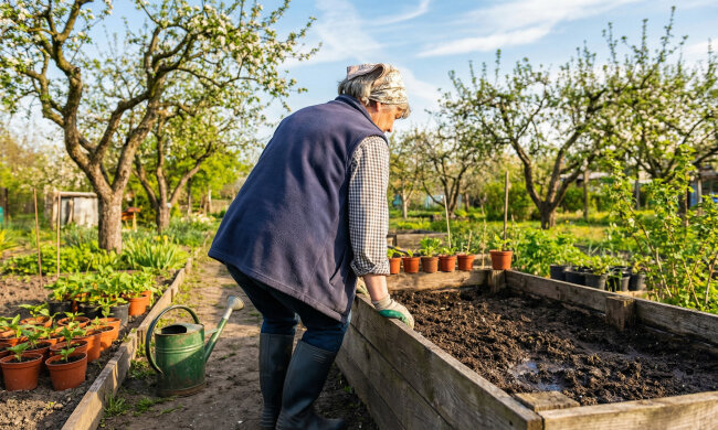 Wzięłam 30 tysięcy kredytu, żeby zięć mógł otworzyć warsztat. Warsztat zamknął po ośmiu miesiącach
