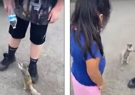 Gdy wiewiórka w rękach ludzi zauważyła plastikową butelkę z wodą, zaczęła prosić, aby się nią podzielić. Bardzo wzruszające wideo