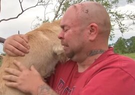 Podczas tornada ten pies zniknął, a jego właściciel nie wiedział, czy żyje