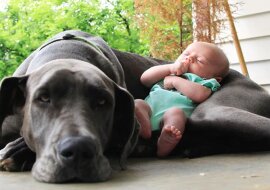 10 psów tulących się z dziećmi, które są po prostu zbyt urocze. Zobacz słodkie zdjęcia