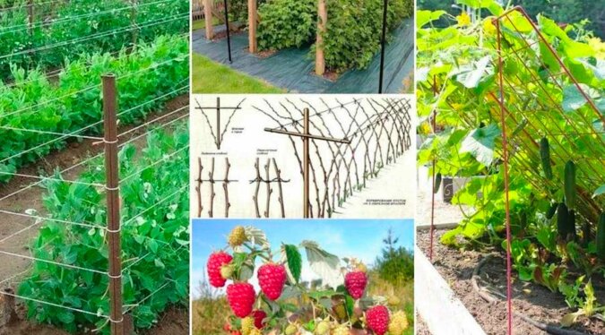 Podpora własnymi rękami dla różnych roślin: 20 pomysłów dotyczących ogrodu