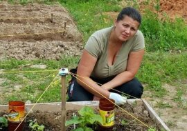 W dzień wypędziłam mrówki i mszyce ze swojego ogrodu. Sprawdzony sposób gospodarstw rolnych