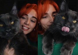 Maine Coon o imieniu Vincent jest nowym idolem publiczności