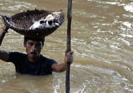 Tak wygląda prawdziwa miłość, dobroć i współczucie