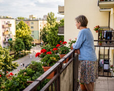 Po wujku Tolku brat powiedział, że spadek trzeba odrzucić - "same kredyty, załatwiałem to z prawnikiem". Na Wszystkich Świętych sąsiadka wujka zapytała, czy to prawda, że brat "tak szybko sprzedał dom, i ziemię, i las"