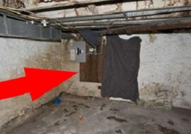 Wyburzył ścianę w piwnicy. To, co za nią znalazł, jest trudne do opisania