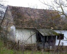 Nowożeńcy kupili zniszczoną chatę na wsi i zmienili ją w dom jak z bajki
