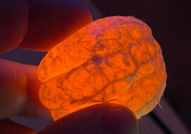 16 niesamowitych „obcych” rzeczy znalezionych na Ziemi