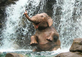 Życie należy do tych, którzy są z niego zadowoleni