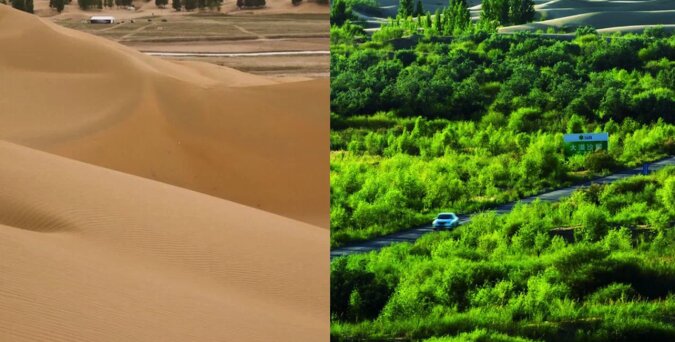 Jak Chińczycy zmieniają jałową pustynię w kwitnącą łąkę. Instrukcja krok po kroku