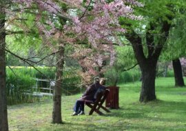 Natura: którym znakom zodiaku daje siłę