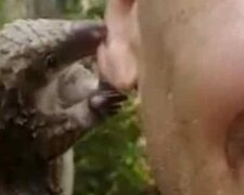 Mały pangolin uwielbia „całować” swoich zbawicieli