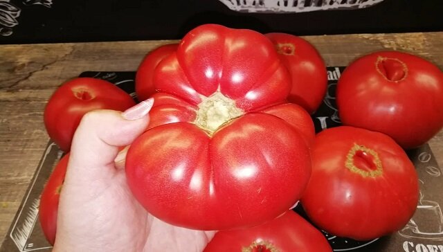 Jak zachować świeże pomidory aż do Nowego Roku