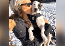 Kobieta próbuje pokonać strach przed psami, adoptując psa bojącego się ludzi. Zobacz co z tego wyszło