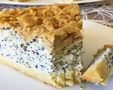 Wspaniałe pyszne ciasto z twarogiem i makiem