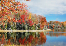 Między jesienią a zimą - niezwykły, rzadki i piękny widok