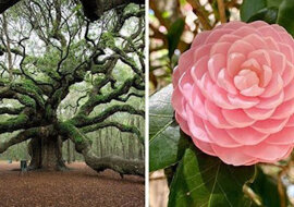 Zielone i kolorowe piękno - zobacz jak piękna jest przyroda