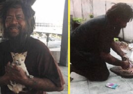 Bezdomny mężczyzna często głoduje, ale codziennie karmi koty bezdomne