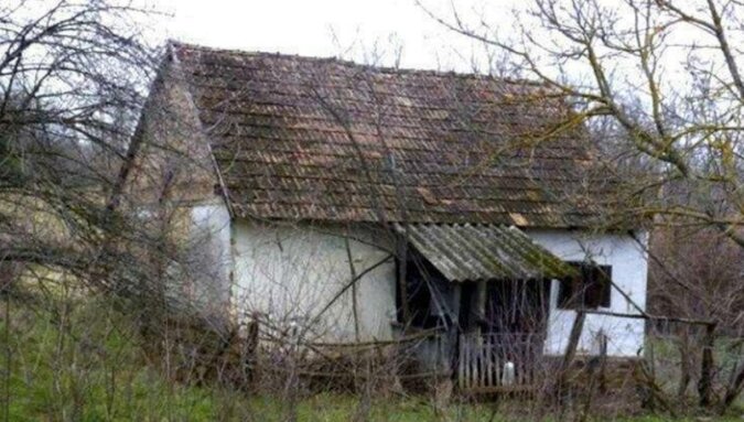 Nowożeńcy kupili zniszczoną chatę na wsi i zmienili ją w dom jak z bajki