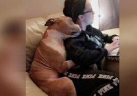 Pies przygarnięty ze schroniska mieszka z nią od 2 tygodni i wciąż nie chce przestać się przytulać. Te zdjęcia rozczulą was