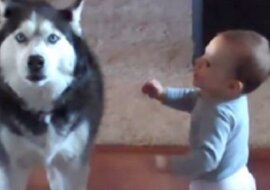 Mama przyłapała swoje dziecko na rozmowie z psem… musicie to usłyszeć