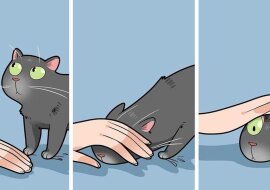 Dowcipny i szczery komiks o tym, jak to jest żyć z kotem