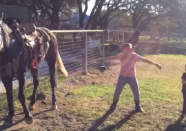 Te dwie dziewczyny zaczęły wspólnie tańczyć do muzyki obok konia. To, co się później wydarzy wprowadzi Cię w zachwyt
