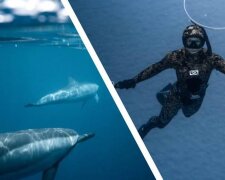 Delfin poprosił nurków o pomoc, bo przydarzyły mu się kłopoty, po czym podziękował ratownikom