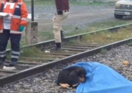 Pies stoi obok zmarłego właściciela i nawet ratownicy nie mogli odsunąć psa od ciała