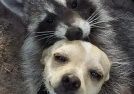 Świat jest lepszy niż myślisz, a zdjęcia to potwierdzają