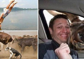 Śmieszne zdjęcia zrobione w odpowiednim momencie