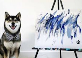 Pies z Kanady „zbił fortunę" malując obrazy. Wideo