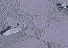 Dziwny „statek” na Antarktydzie na zdjęciach Google Earth: co to jest i jak się tam znalazło?