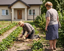 Brat zabrał tatę na wakacje do siebie pod Sokółkę - "niech odpocznie od bloku, mamy ogród". W lipcu pojechałam bez zapowiedzi. Tata w kapeluszu pielił za domem rzędy truskawek na sprzedaż, brat z bratową byli na targu w Białymstoku