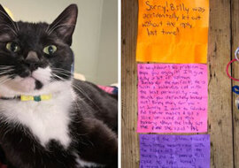 Kot został „listonoszem” i winowajcą przyjaźni sąsiadów