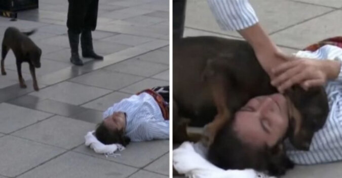 Uliczny performer udaje zranionego, a bezpański pies przerywa scenę, by go pocieszyć