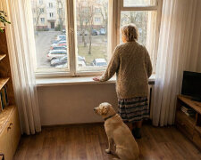 Córka kupiła wnukom psa na urodziny. Po pół roku przywiozła go do mnie "na tydzień, bo jedziemy na urlop". Z urlopu wrócili, po psa nie