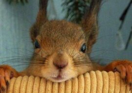 Jak żona spotkała swojego męża z podróży służbowej