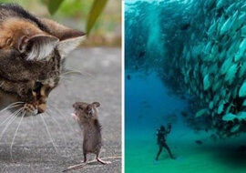 20 zdjęć, które zadziwią Cię tak dokładnym czasem wykonania