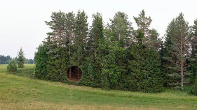 Miejscowi odkryli dziwną dziurę w lesie i przez długi czas nie mogli zrozumieć, co to jest