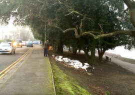 Ten człowiek codziennie karmi ptaki. Spójrz, co się wydarzyło wtedy, gdy się trochę spóźnił