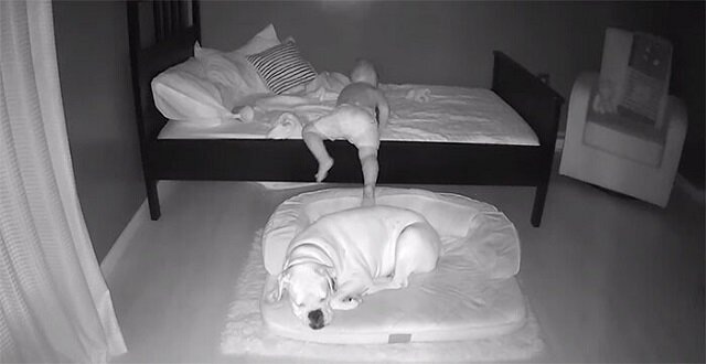 Dziecko wstaje z łóżka w środku nocy, aby spać na podłodze ze swoim najlepszym przyjacielem